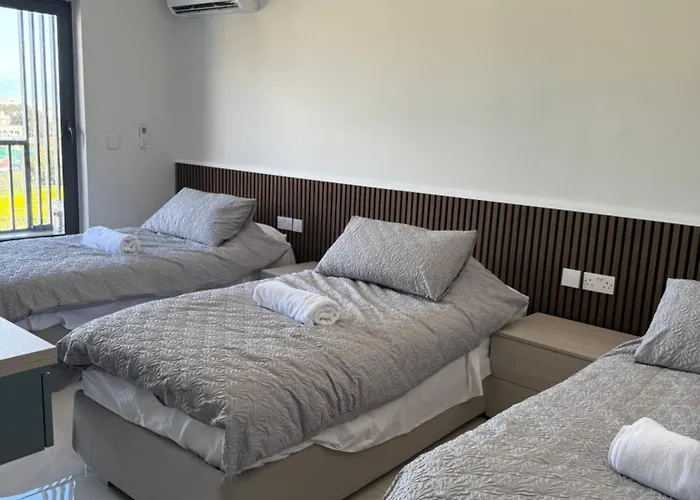 The Collective Is-Swieqi