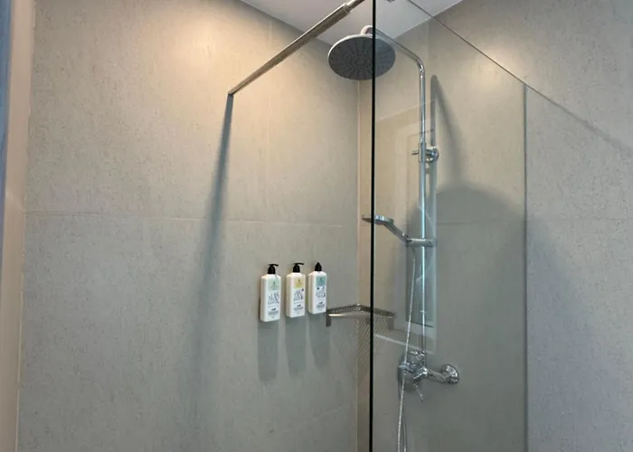 The Collective Apartment *